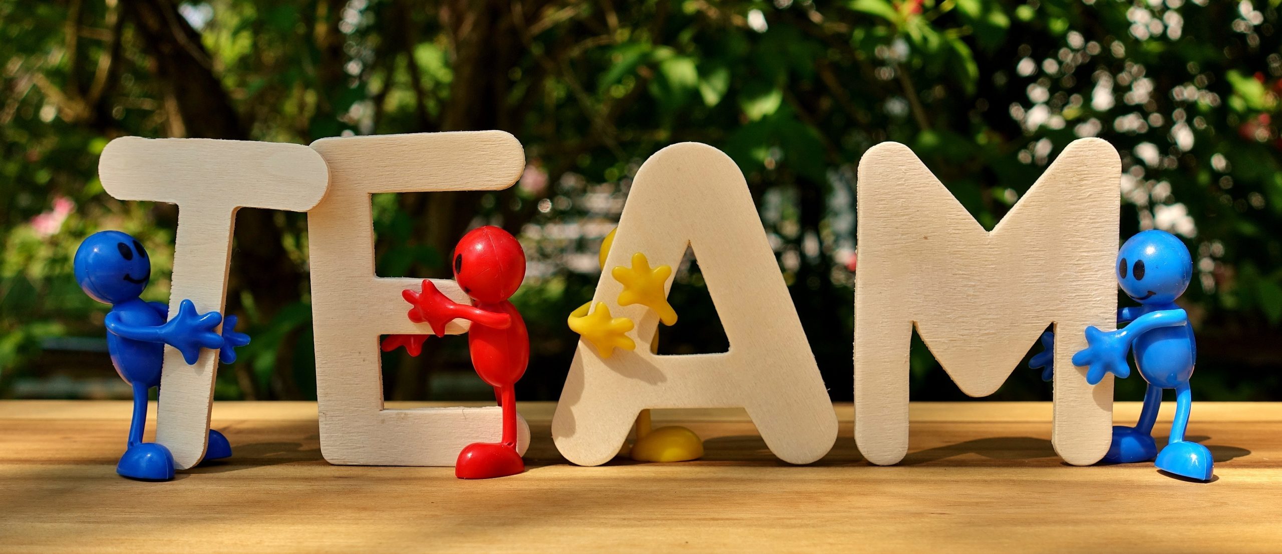 Title image